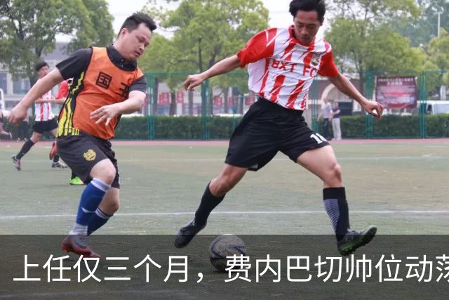 上任仅三个月，费内巴切帅位动荡 因球迷行为愤然辞职