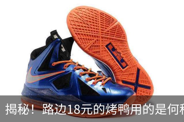 揭秘！路边18元的烤鸭用的是何种鸭子，安全吗？